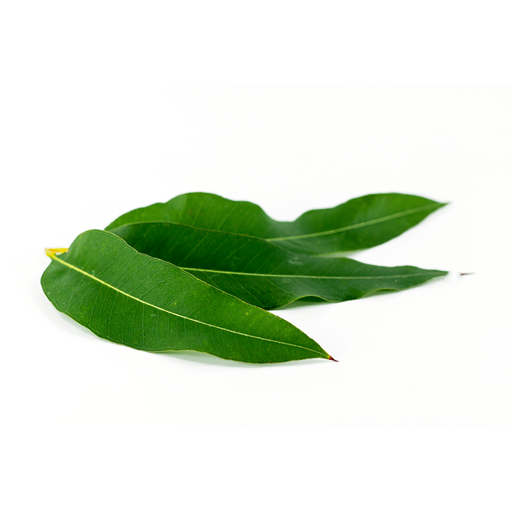 Eucalyptus globulus като част от Artovitel